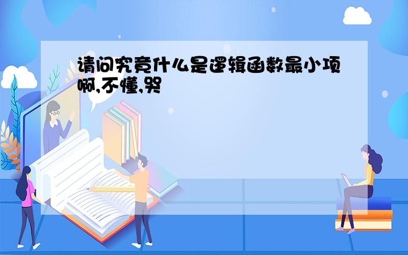 请问究竟什么是逻辑函数最小项啊,不懂,哭