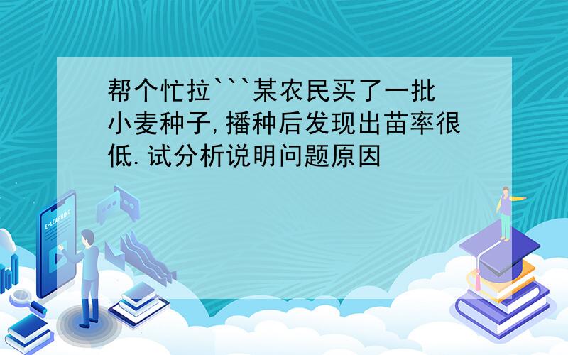 帮个忙拉```某农民买了一批小麦种子,播种后发现出苗率很低.试分析说明问题原因