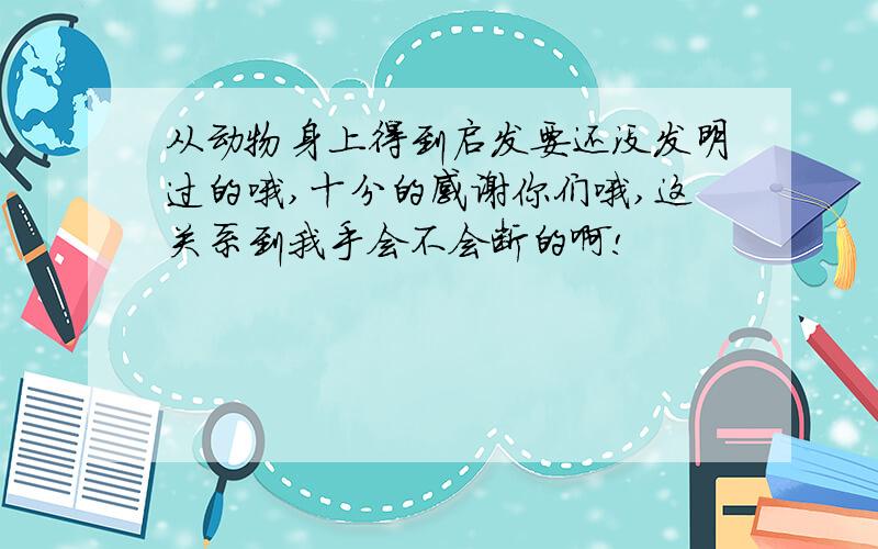 从动物身上得到启发要还没发明过的哦,十分的感谢你们哦,这关系到我手会不会断的啊!