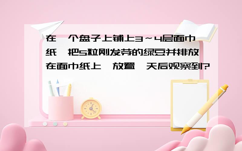 在一个盘子上铺上3～4层面巾纸,把5粒刚发芽的绿豆并排放在面巾纸上,放置一天后观察到?