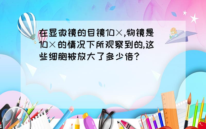 在显微镜的目镜10×,物镜是10×的情况下所观察到的,这些细胞被放大了多少倍?