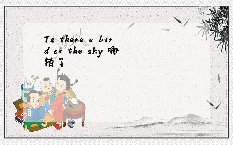 Ts there a bird on the sky 哪错了