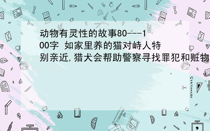 动物有灵性的故事80---100字 如家里养的猫对峙人特别亲近,猎犬会帮助警察寻找罪犯和赃物.把看到·听到的有关动物有灵