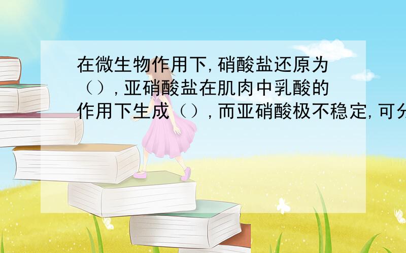 在微生物作用下,硝酸盐还原为（）,亚硝酸盐在肌肉中乳酸的作用下生成（）,而亚硝酸极不稳定,可分解为（）,并与肌肉组织中的