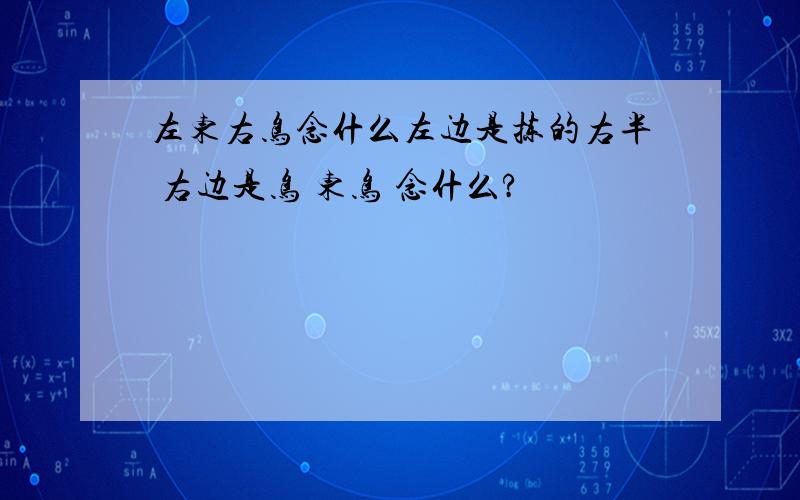 左东右鸟念什么左边是拣的右半 右边是鸟 东鸟 念什么?