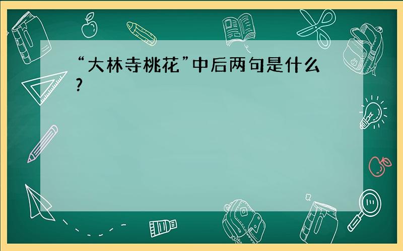 “大林寺桃花”中后两句是什么?