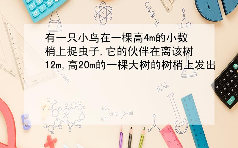 有一只小鸟在一棵高4m的小数梢上捉虫子,它的伙伴在离该树12m,高20m的一棵大树的树梢上发出