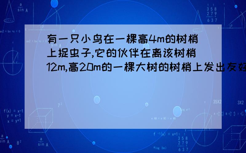 有一只小鸟在一棵高4m的树梢上捉虫子,它的伙伴在离该树梢12m,高20m的一棵大树的树梢上发出友好的叫声,