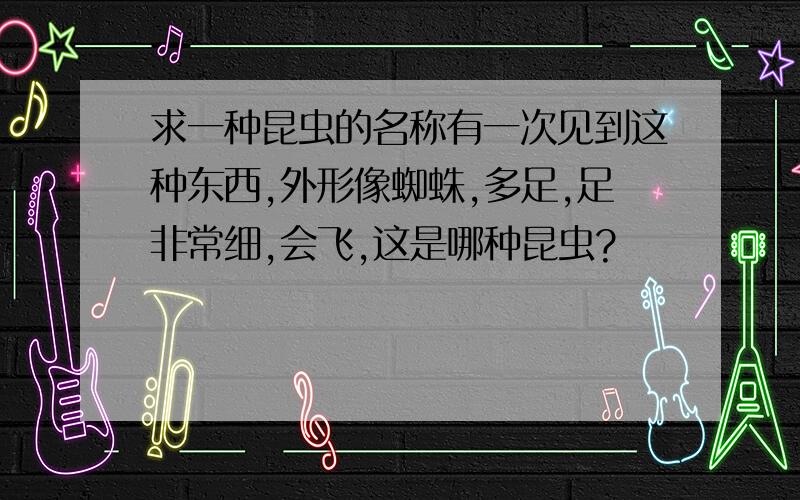 求一种昆虫的名称有一次见到这种东西,外形像蜘蛛,多足,足非常细,会飞,这是哪种昆虫?