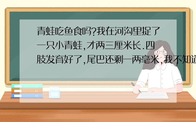 青蛙吃鱼食吗?我在河沟里捉了一只小青蛙,才两三厘米长.四肢发育好了,尾巴还剩一两毫米,我不知道它吃什么,家里有鱼食,