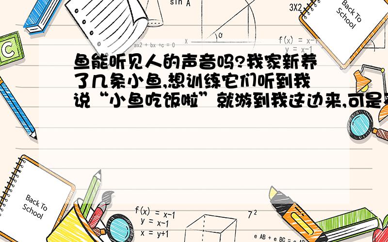 鱼能听见人的声音吗?我家新养了几条小鱼,想训练它们听到我说“小鱼吃饭啦”就游到我这边来,可是不知道它们能不能听见我的声音