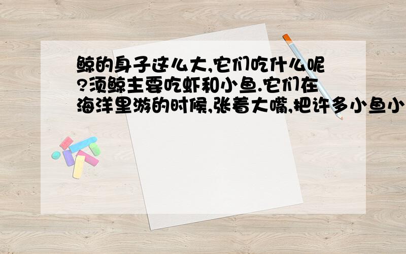 鲸的身子这么大,它们吃什么呢?须鲸主要吃虾和小鱼.它们在海洋里游的时候,张着大嘴,把许多小鱼小虾连