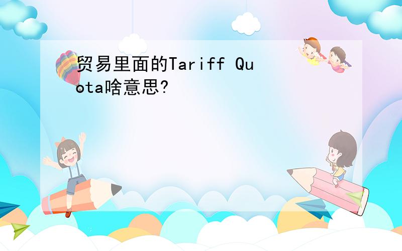 贸易里面的Tariff Quota啥意思?