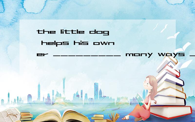 the little dog helps his owner _________ many ways _________