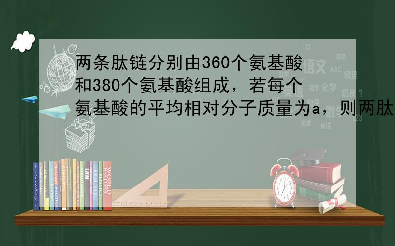 两条肽链分别由360个氨基酸和380个氨基酸组成，若每个氨基酸的平均相对分子质量为a，则两肽链之间相差的肽键数和相对分子