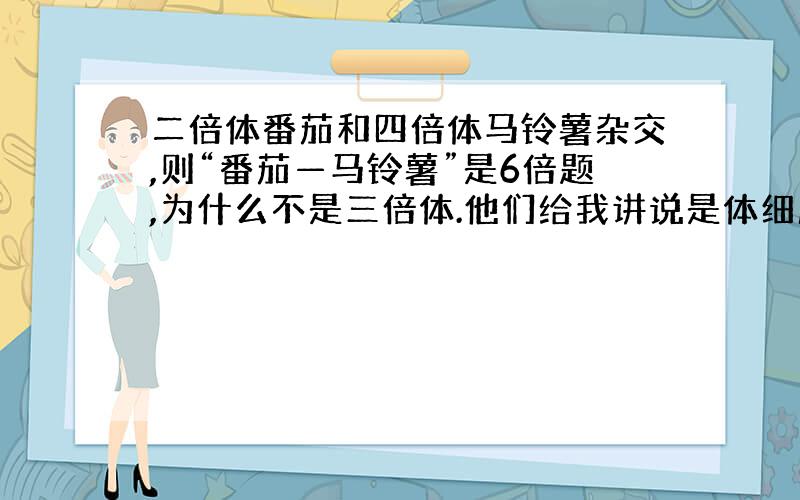 二倍体番茄和四倍体马铃薯杂交,则“番茄—马铃薯”是6倍题,为什么不是三倍体.他们给我讲说是体细胞...