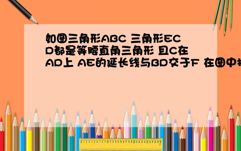 如图三角形ABC 三角形ECD都是等腰直角三角形 且C在AD上 AE的延长线与BD交于F 在图中找