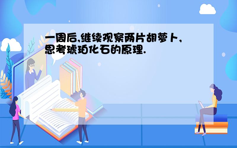 一周后,继续观察两片胡萝卜,思考琥珀化石的原理.