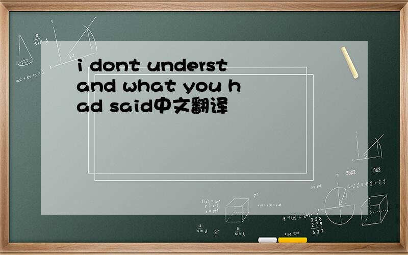 i dont understand what you had said中文翻译