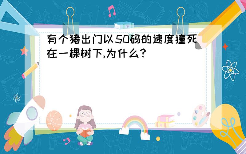 有个猪出门以50码的速度撞死在一棵树下,为什么?