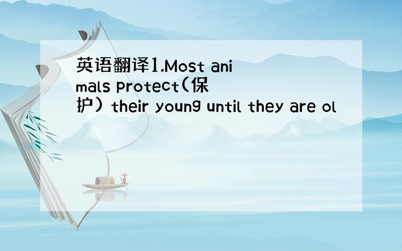 英语翻译1.Most animals protect(保护) their young until they are ol