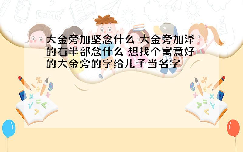 大金旁加坚念什么 大金旁加泽的右半部念什么 想找个寓意好的大金旁的字给儿子当名字