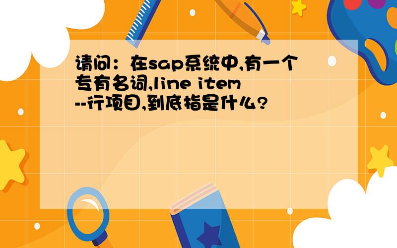 请问：在sap系统中,有一个专有名词,line item--行项目,到底指是什么?