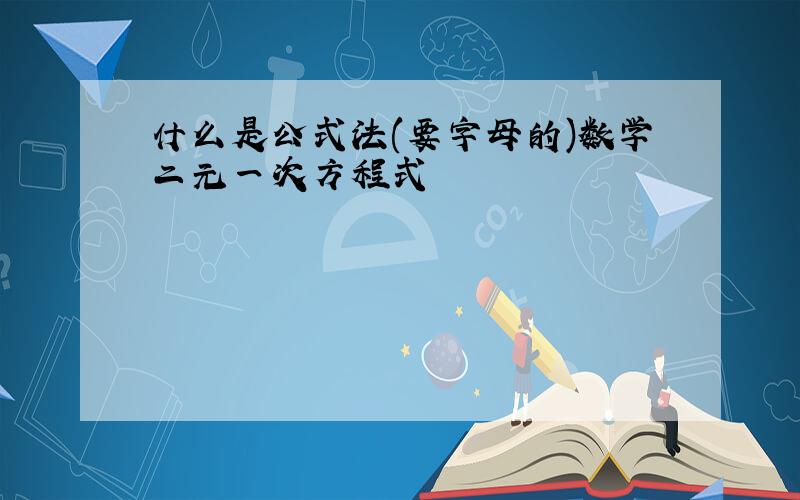 什么是公式法(要字母的)数学二元一次方程式