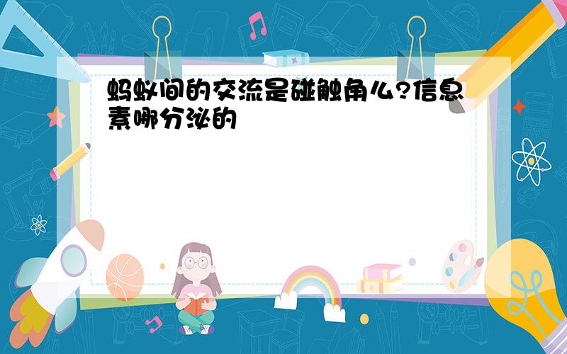 蚂蚁间的交流是碰触角么?信息素哪分泌的