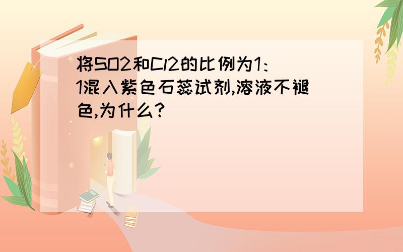 将SO2和Cl2的比例为1：1混入紫色石蕊试剂,溶液不褪色,为什么?