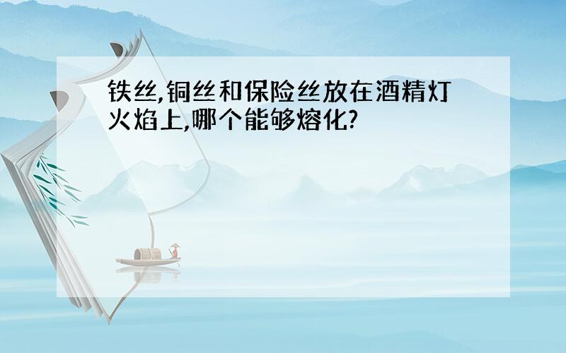 铁丝,铜丝和保险丝放在酒精灯火焰上,哪个能够熔化?