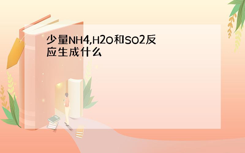 少量NH4,H2O和SO2反应生成什么