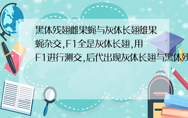 黑体残翅雌果蝇与灰体长翅雄果蝇杂交,F1全是灰体长翅,用F1进行测交,后代出现灰体长翅与黑体残翅的比为1:1.F1雄果蝇