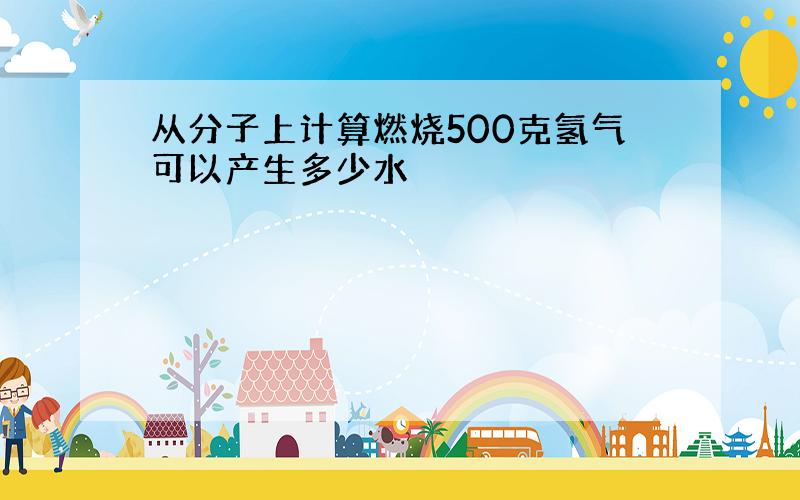 从分子上计算燃烧500克氢气可以产生多少水