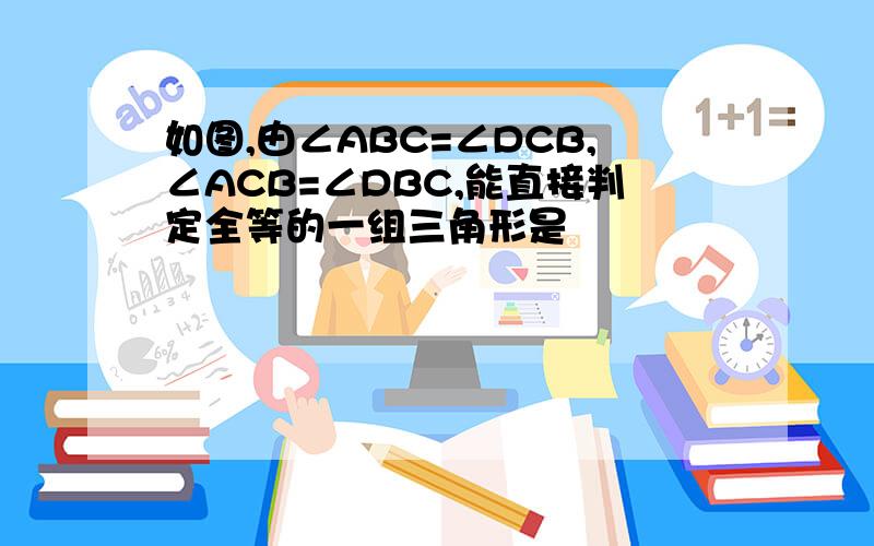 如图,由∠ABC=∠DCB,∠ACB=∠DBC,能直接判定全等的一组三角形是