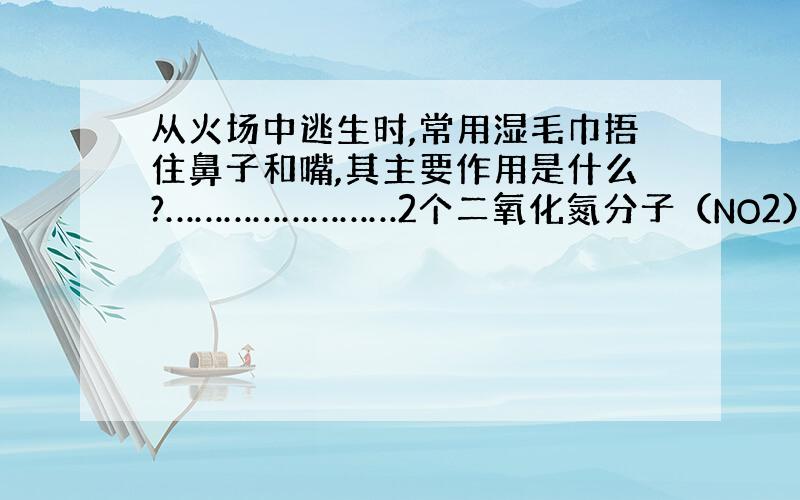 从火场中逃生时,常用湿毛巾捂住鼻子和嘴,其主要作用是什么?……………………2个二氧化氮分子（NO2）和一个四氧化二氮分子