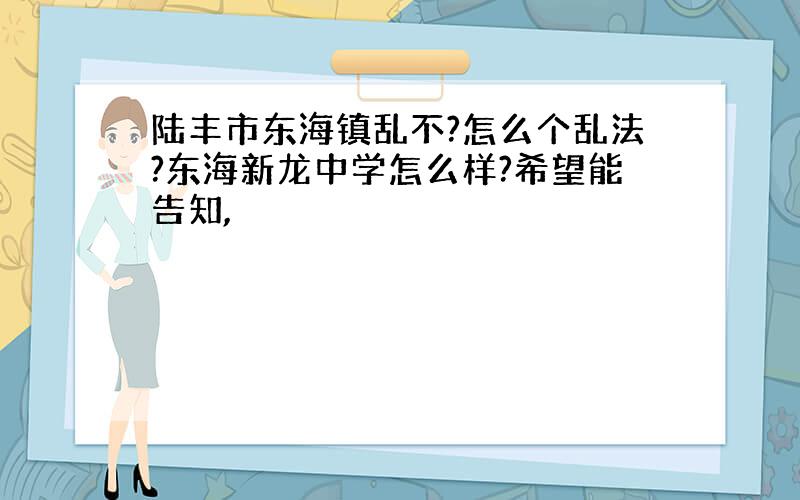 陆丰市东海镇乱不?怎么个乱法?东海新龙中学怎么样?希望能告知,