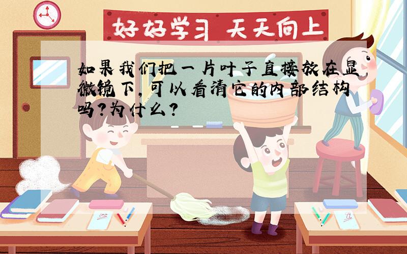 如果我们把一片叶子直接放在显微镜下,可以看清它的内部结构吗?为什么?