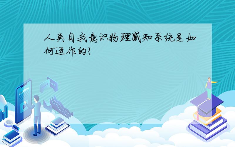 人类自我意识物理感知系统是如何运作的?