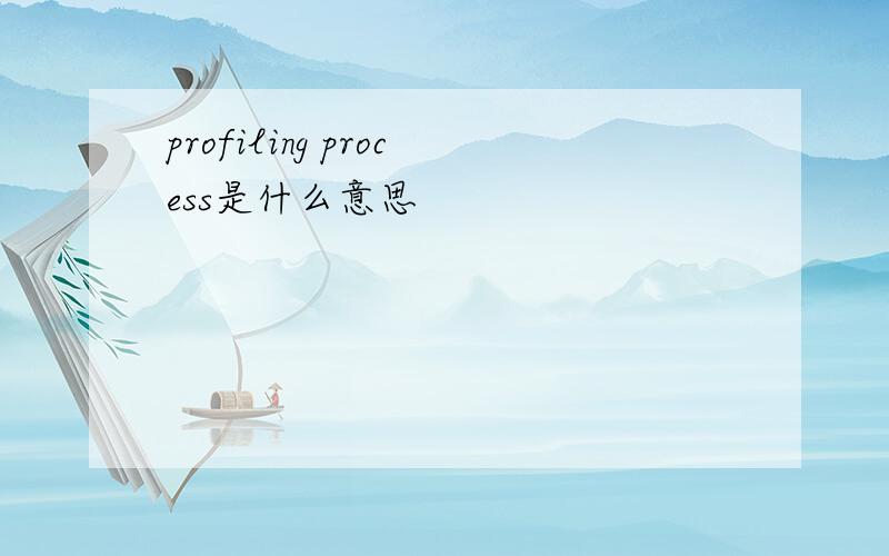 profiling process是什么意思