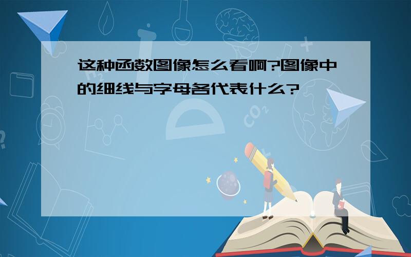 这种函数图像怎么看啊?图像中的细线与字母各代表什么?