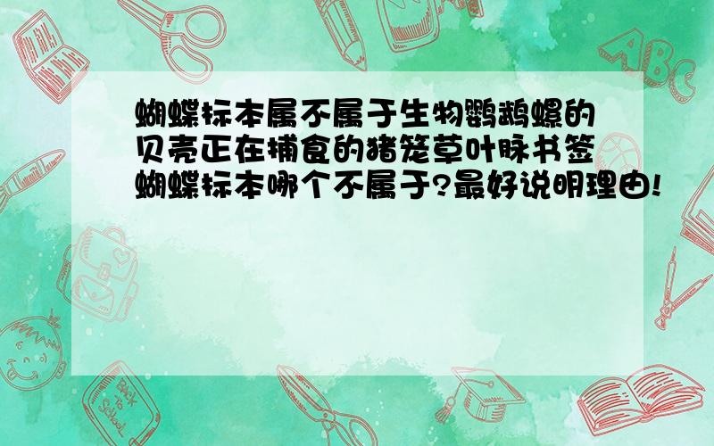 蝴蝶标本属不属于生物鹦鹉螺的贝壳正在捕食的猪笼草叶脉书签蝴蝶标本哪个不属于?最好说明理由!