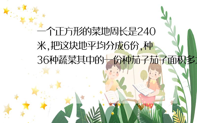 一个正方形的菜地周长是240米,把这块地平均分成6份,种36种蔬菜其中的一份种茄子茄子面积多大?