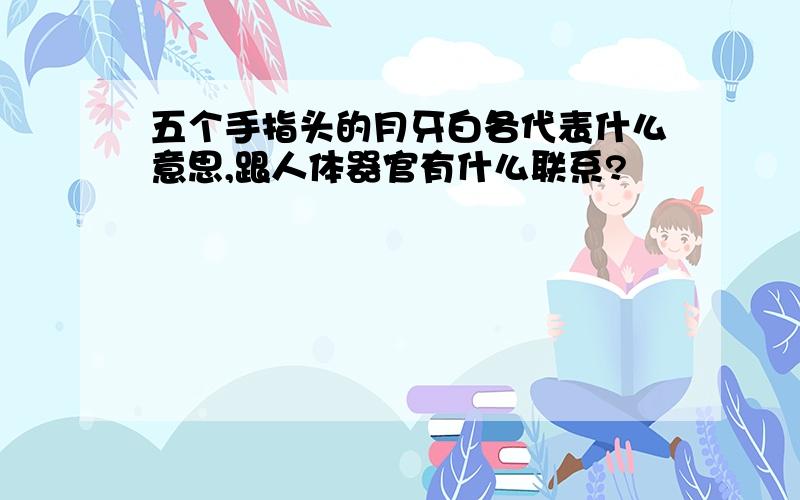 五个手指头的月牙白各代表什么意思,跟人体器官有什么联系?