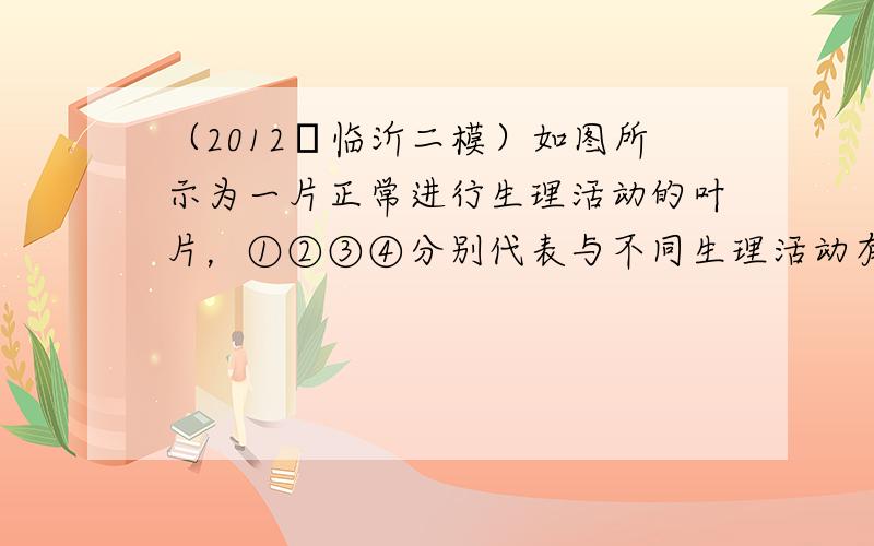 （2012•临沂二模）如图所示为一片正常进行生理活动的叶片，①②③④分别代表与不同生理活动有关的物质．请回答：