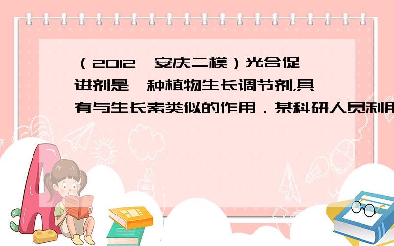 （2012•安庆二模）光合促进剂是一种植物生长调节剂，具有与生长素类似的作用．某科研人员利用番茄为实验材料来探究其生理作