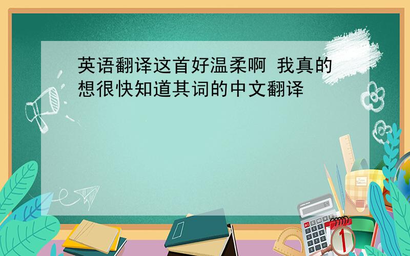 英语翻译这首好温柔啊 我真的想很快知道其词的中文翻译