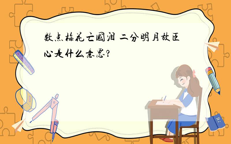 数点梅花亡国泪 二分明月故臣心是什么意思?