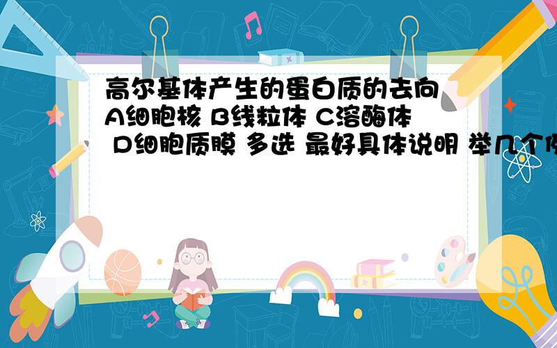 高尔基体产生的蛋白质的去向 A细胞核 B线粒体 C溶酶体 D细胞质膜 多选 最好具体说明 举几个例子