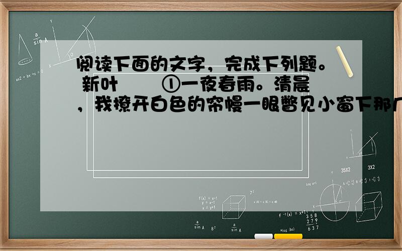 阅读下面的文字，完成下列题。 新叶 　　①一夜春雨。清晨，我撩开白色的帘幔一眼瞥见小窗下那几根光秃秃的枝条上，冷丁里爆发